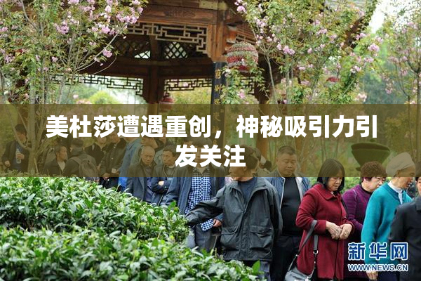 美杜莎遭遇重创，神秘吸引力引发关注