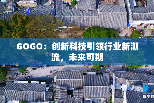 GOGO：创新科技引领行业新潮流，未来可期