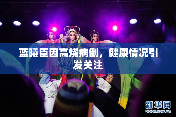 蓝曦臣因高烧病倒，健康情况引发关注