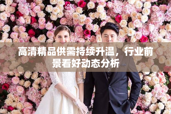高清精品供需持续升温，行业前景看好动态分析