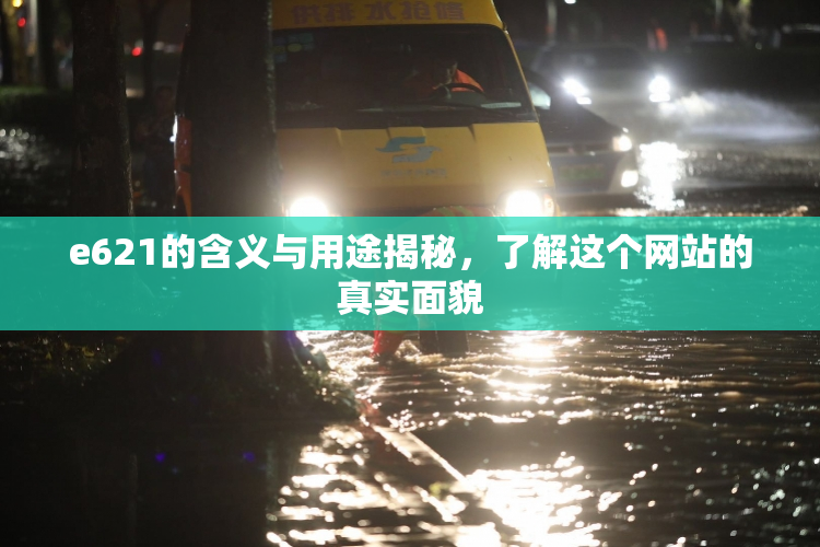 e621的含义与用途揭秘，了解这个网站的真实面貌