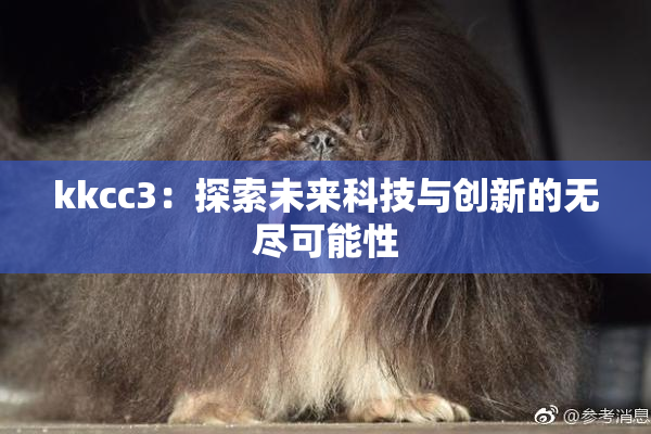 kkcc3：探索未来科技与创新的无尽可能性