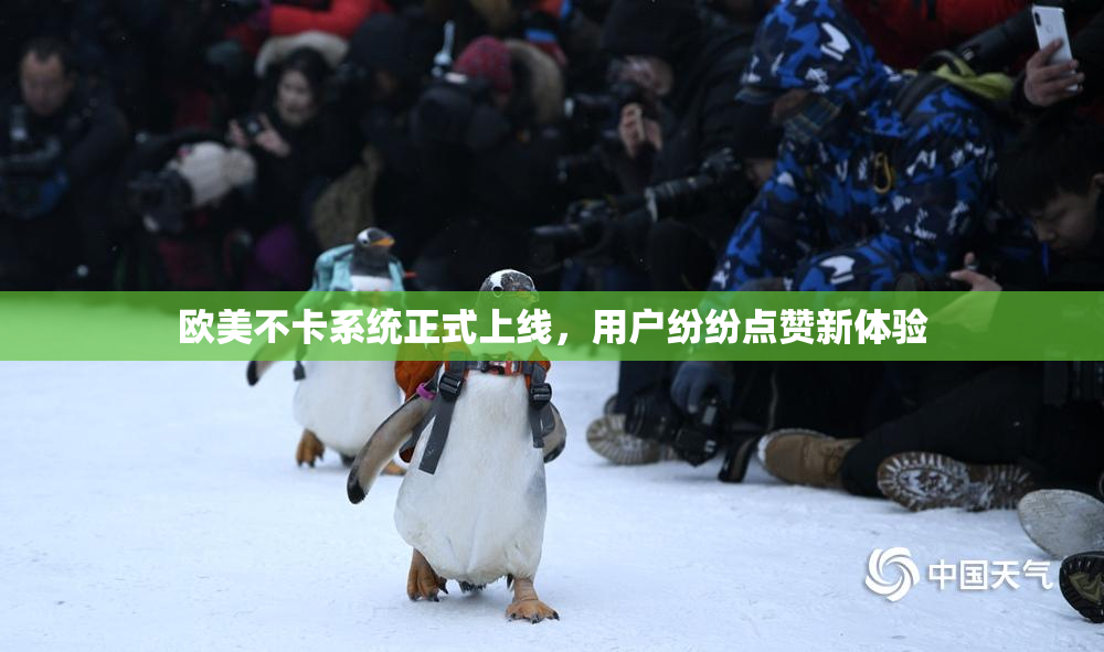 欧美不卡系统正式上线，用户纷纷点赞新体验