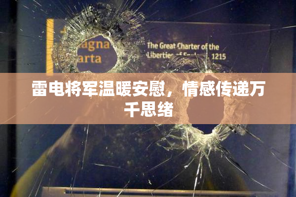 雷电将军温暖安慰，情感传递万千思绪