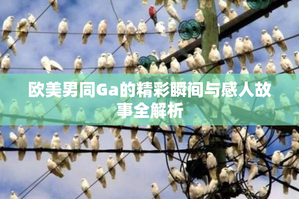 欧美男同Ga的精彩瞬间与感人故事全解析