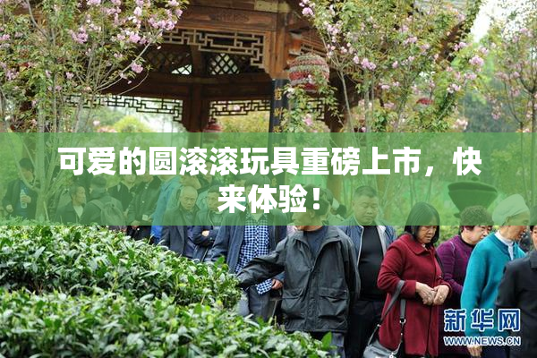 可爱的圆滚滚玩具重磅上市，快来体验！