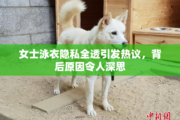 女士泳衣隐私全透引发热议，背后原因令人深思