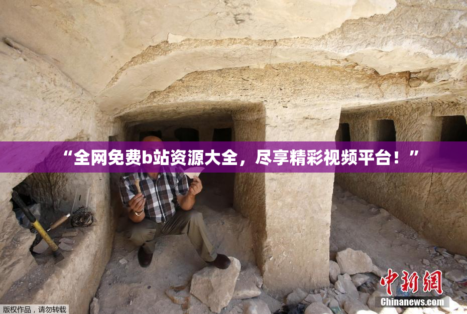 “全网免费b站资源大全，尽享精彩视频平台！”
