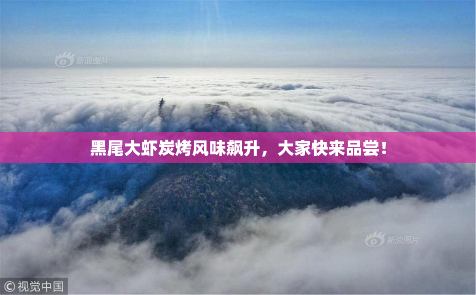 黑尾大虾炭烤风味飙升，大家快来品尝！