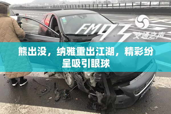 熊出没，纳雅重出江湖，精彩纷呈吸引眼球