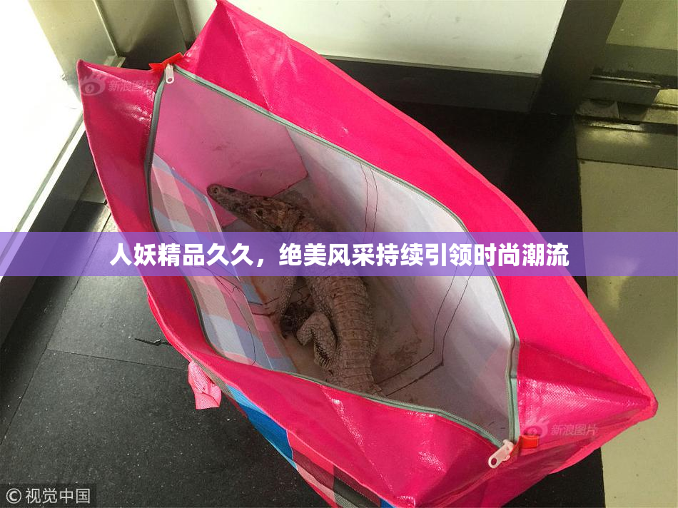人妖精品久久，绝美风采持续引领时尚潮流