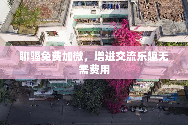 聊骚免费加微，增进交流乐趣无需费用