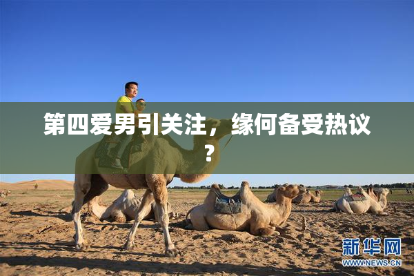 第四爱男引关注，缘何备受热议？