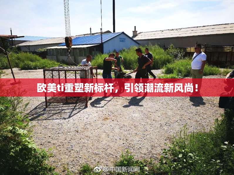 欧美ti重塑新标杆，引领潮流新风尚！