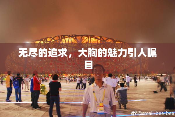 无尽的追求，大胸的魅力引人瞩目