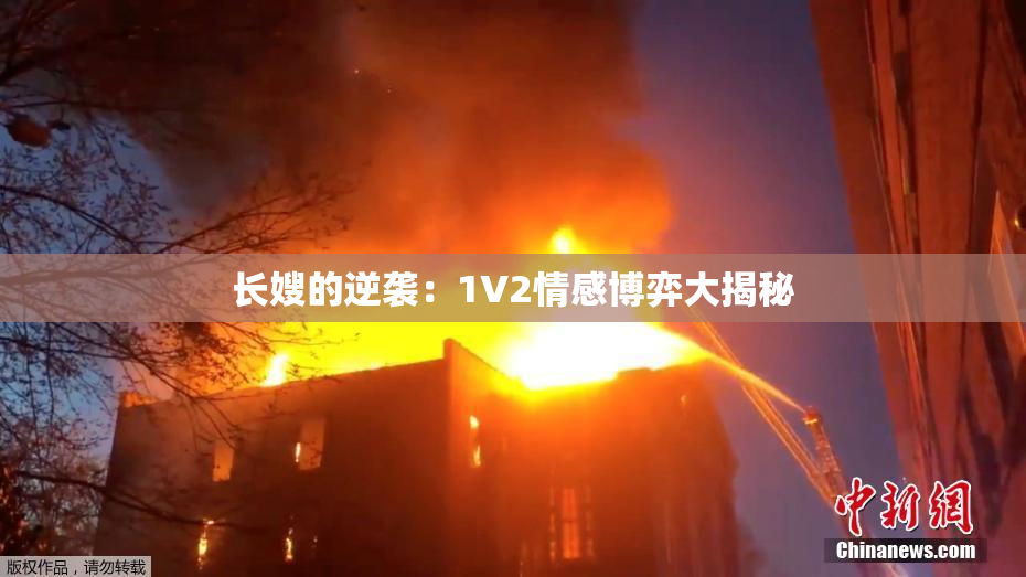 长嫂的逆袭：1V2情感博弈大揭秘