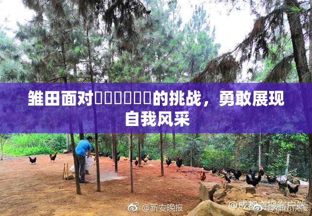 雏田面对❌‌❌‌❌‌的挑战，勇敢展现自我风采