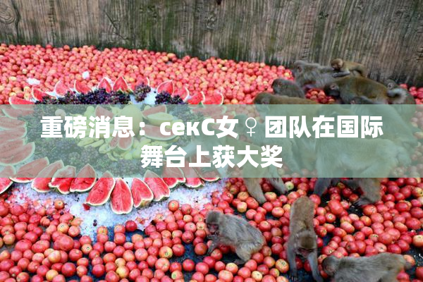重磅消息：секС女♀团队在国际舞台上获大奖