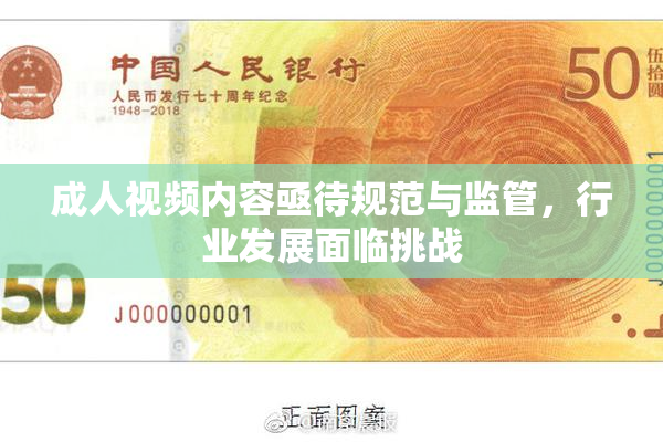 成人视频内容亟待规范与监管，行业发展面临挑战