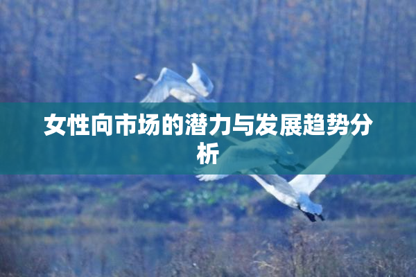 女性向市场的潜力与发展趋势分析