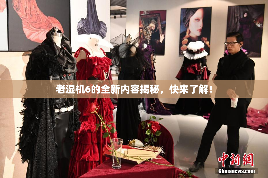 老湿机6的全新内容揭秘，快来了解！
