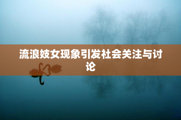 流浪妓女现象引发社会关注与讨论