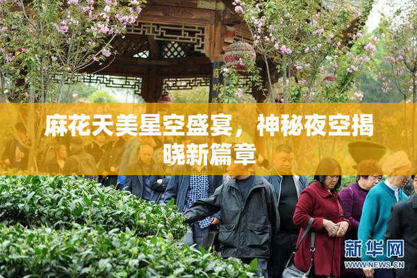 麻花天美星空盛宴，神秘夜空揭晓新篇章