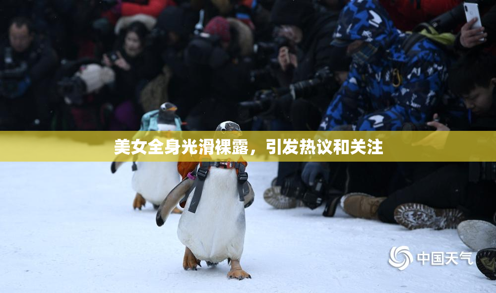美女全身光滑裸露，引发热议和关注