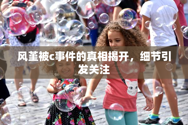 风堇被c事件的真相揭开，细节引发关注
