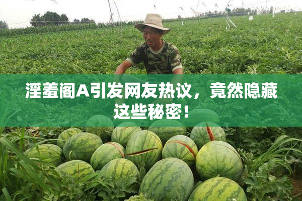 淫羞阁A引发网友热议，竟然隐藏这些秘密！