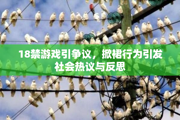 18禁游戏引争议，掀裙行为引发社会热议与反思