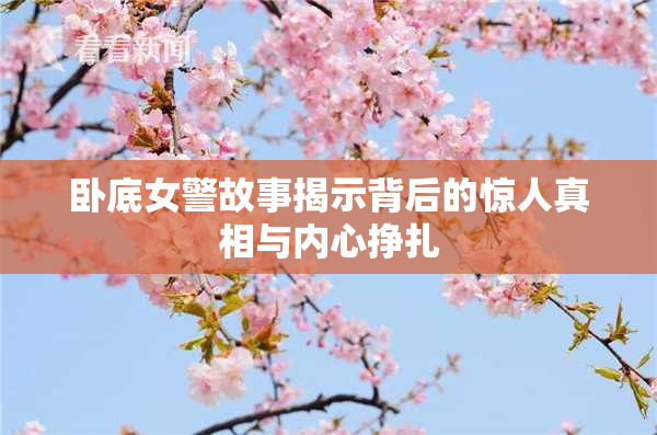 卧底女警故事揭示背后的惊人真相与内心挣扎