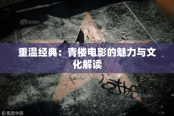 重温经典：青楼电影的魅力与文化解读
