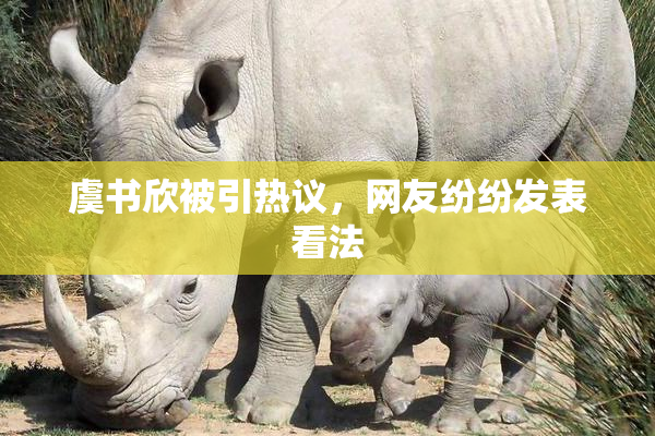 虞书欣被引热议，网友纷纷发表看法