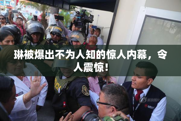 琳被爆出不为人知的惊人内幕，令人震惊！