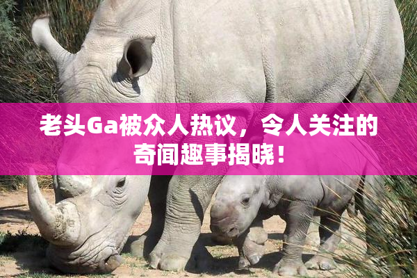 老头Ga被众人热议，令人关注的奇闻趣事揭晓！