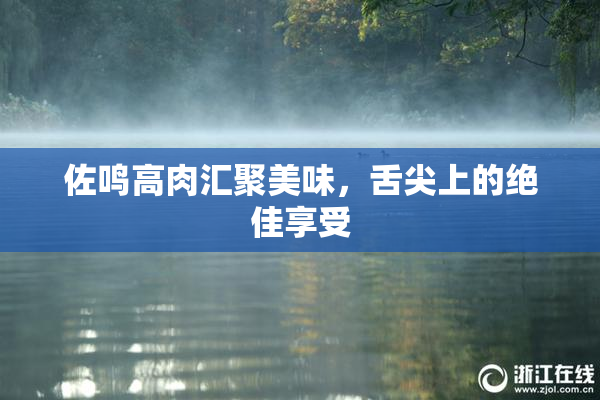 佐鸣高肉汇聚美味，舌尖上的绝佳享受