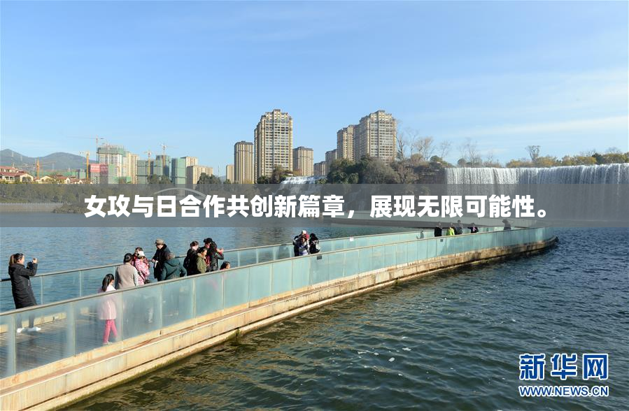 女攻与日合作共创新篇章，展现无限可能性。