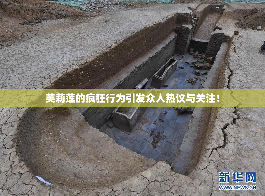 芙莉莲的疯狂行为引发众人热议与关注！