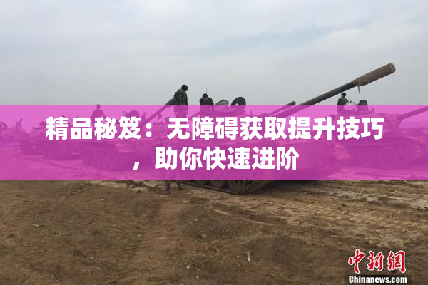 精品秘笈：无障碍获取提升技巧，助你快速进阶