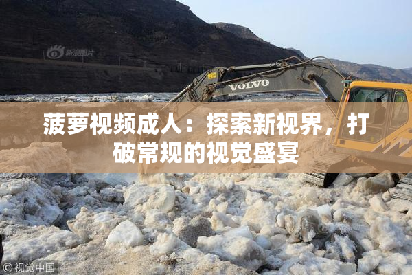 菠萝视频成人：探索新视界，打破常规的视觉盛宴