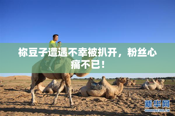 祢豆子遭遇不幸被扒开，粉丝心痛不已！