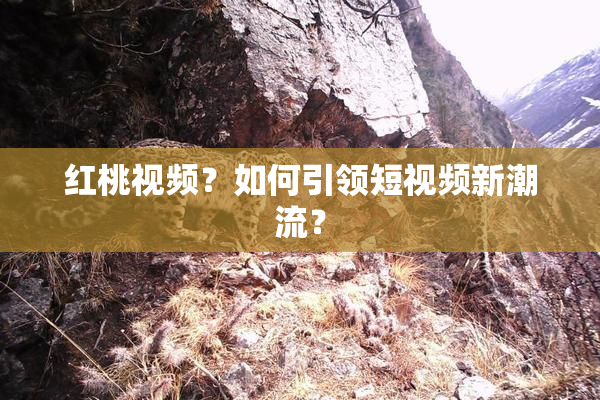 红桃视频？如何引领短视频新潮流？