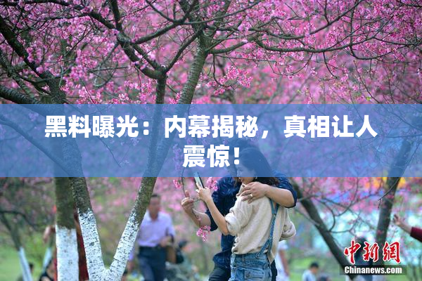 黑料曝光：内幕揭秘，真相让人震惊！
