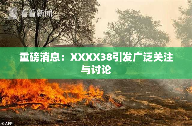 重磅消息：XXXX38引发广泛关注与讨论