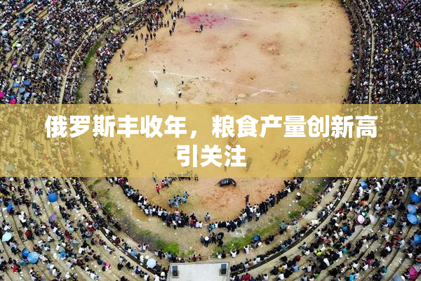 俄罗斯丰收年，粮食产量创新高引关注