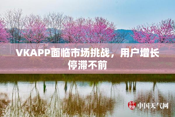 VKAPP面临市场挑战，用户增长停滞不前
