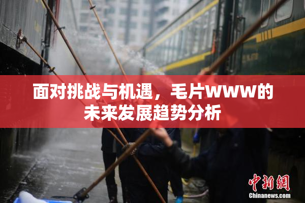 面对挑战与机遇，毛片WWW的未来发展趋势分析