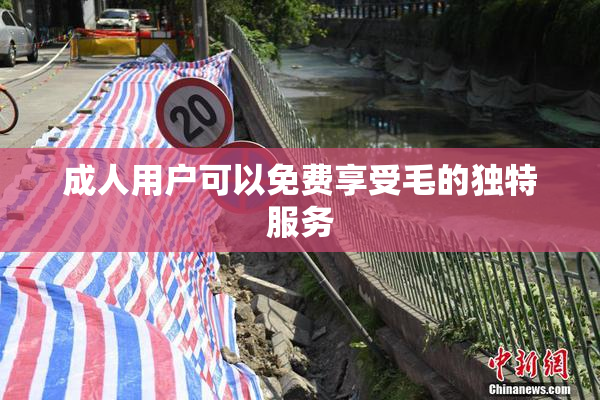 成人用户可以免费享受毛的独特服务