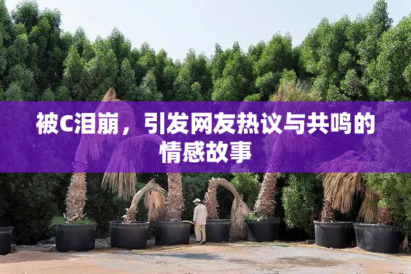 被C泪崩，引发网友热议与共鸣的情感故事